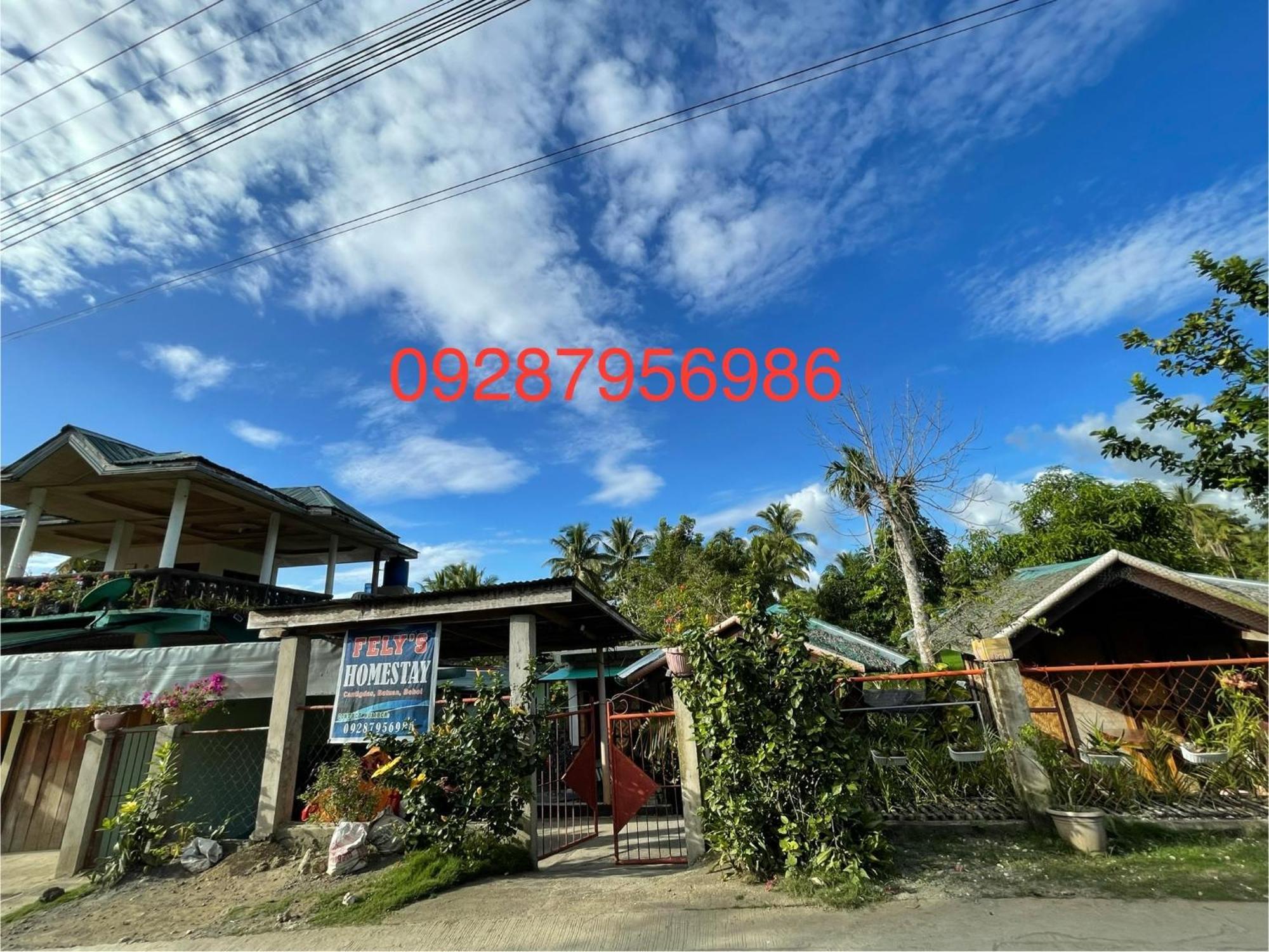 Fely'S Homestay Batuan Exterior foto